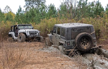 winch recovery