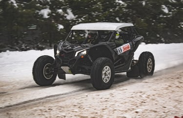 winter UTV