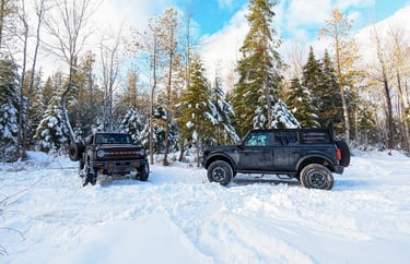 Bronco in Snow