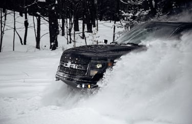 Michigan's Upper Peninsula