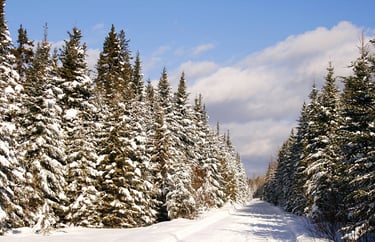 Maine