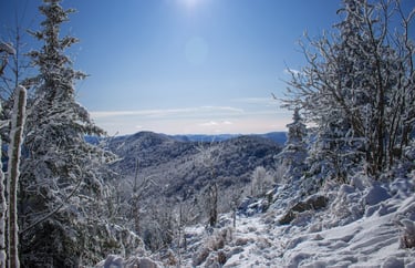 Vermont
