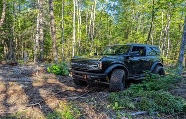 Bronco