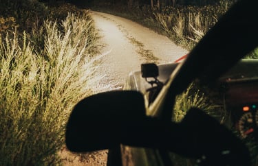 night driving lights