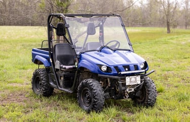 Yamaha Rhino