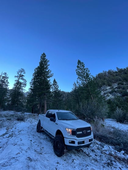 6 Inch Lifted 2019 Ford F-150 4WD