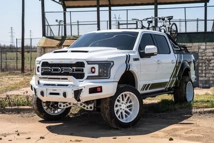 6 Inch Lifted 2019 Ford F-150 4WD
